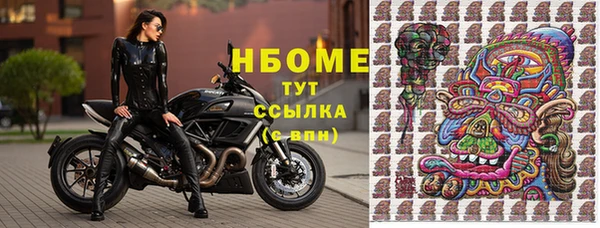 ешки Алексин