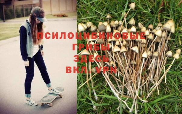 ешки Алексин