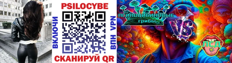 Галлюциногенные грибы Psilocybine cubensis  сколько стоит  Рыбное 